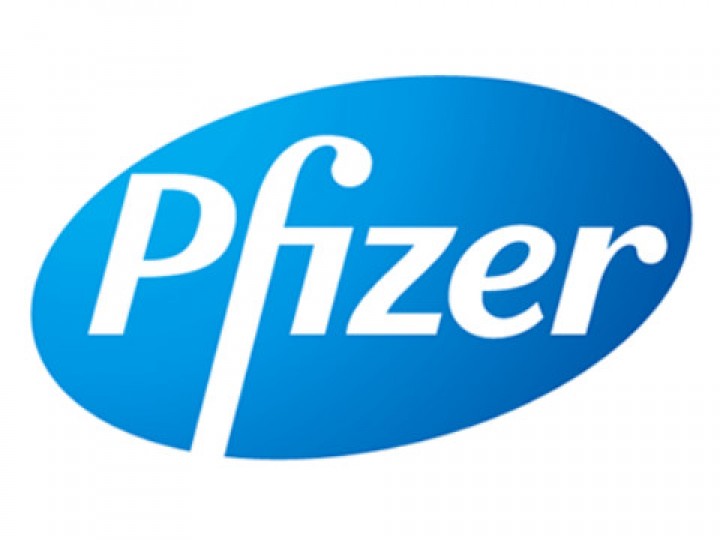 Pfizer - Informatica reference