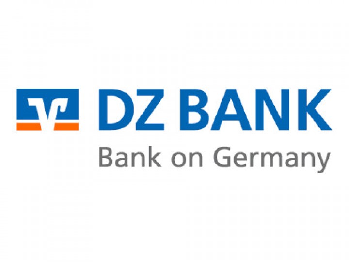 DZ Bank - Informatica reference