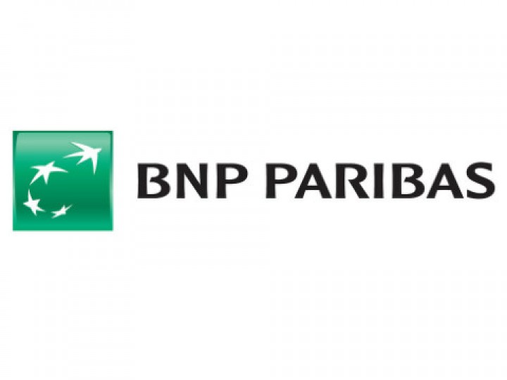 BNP Paribas - Informatica reference